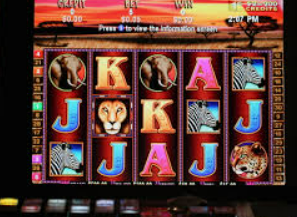 天庭娱乐3621官网版客户端